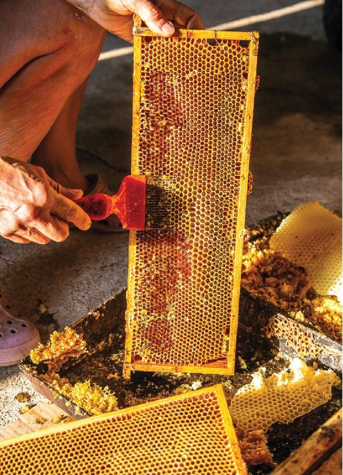 imagenes_web_Mesa de trabajo 1 copia