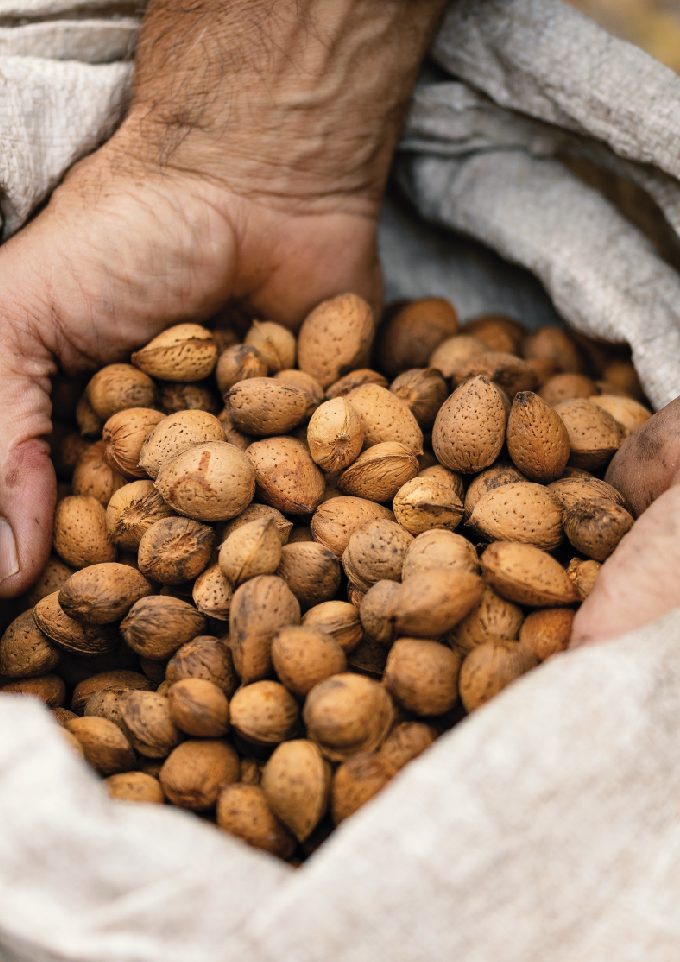 imagenes_web_Mesa de trabajo 1